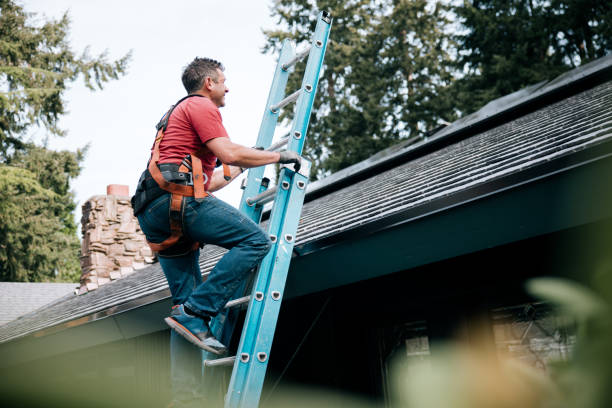 Best Asphalt Shingle Roofing  in Bonduel, WI